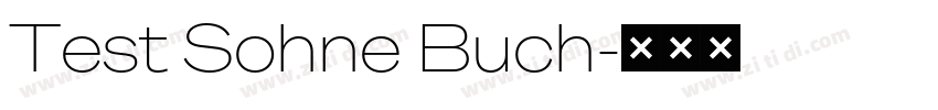 Test Sohne Buch字体转换